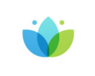 Bloomo AI Logo